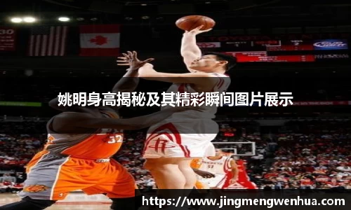 姚明身高揭秘及其精彩瞬间图片展示